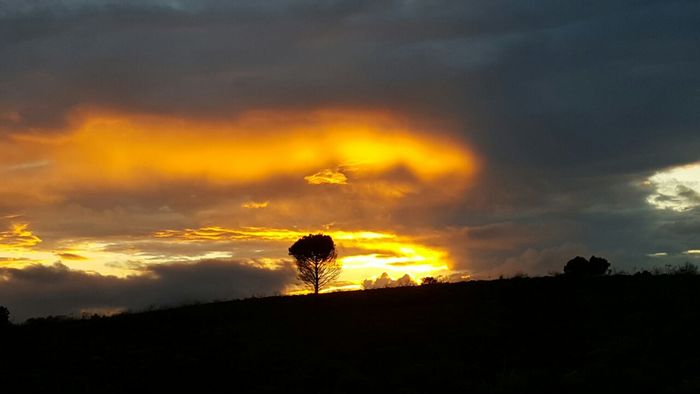 House to Rent in Albertinia Central: 3 Bedrooms, En-suites, Fibre-ready, Scenic Fynbos.