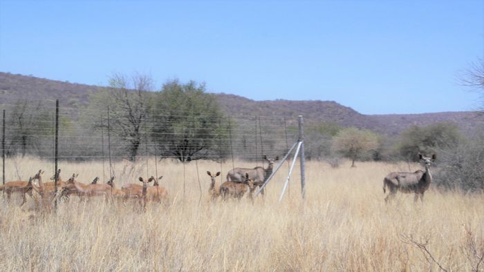 For Sale: 862.82HA Game/Cattle Farm in Lephalale Central with diverse wildlife and amenities.