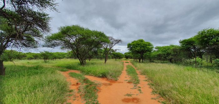 For Sale: Mookgopong Central Farm with lodge, game fencing, and multiple chalets.