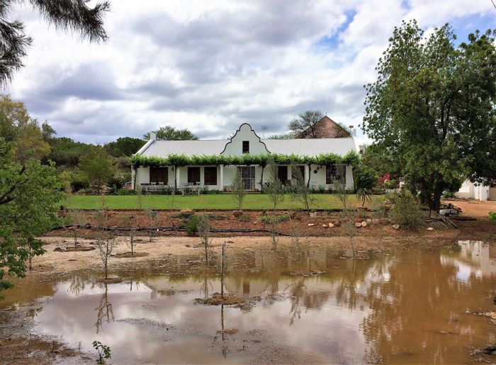 For Sale: House in Calitzdorp Central with garden, olive grove, and flatlet.