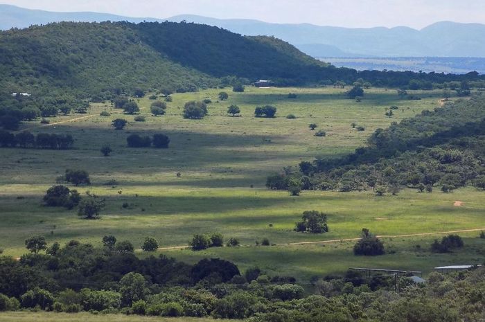 For Sale: Farm in Modimolle Rural with game, water access, and flexible building options.