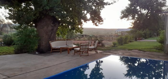 De Hoop Farm For Sale: 18ha, 3 dwellings, irrigation dam, fruit trees, and income potential.