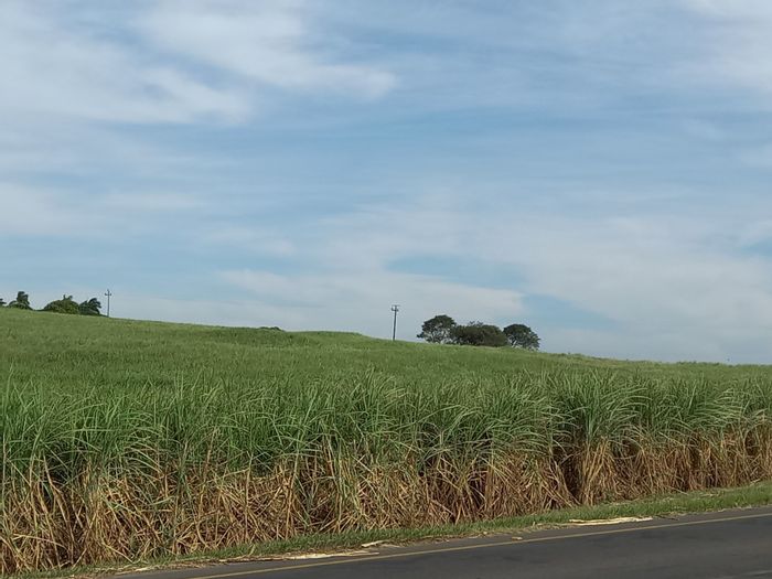 18 ha Farm for Sale at Compensation Beach, ideal for small holdings and development.