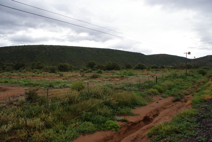 Ladismith Rural Small Holding For Sale: 12.89ha with water rights, off-grid living.