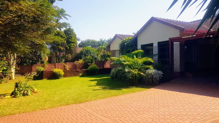 For Sale: House in Louis Trichardt Central with dual homes, borehole, and large yard.