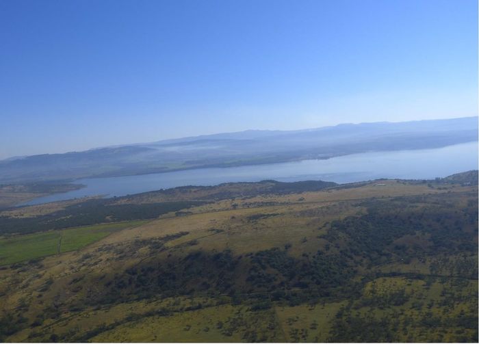 For Sale: 22-hectare farm in Albert Falls, ideal for development and agriculture.