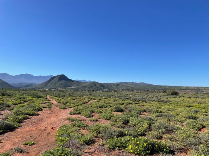 For Sale: Vacant Agricultural Land in Calitzdorp Central with mountain views and services.