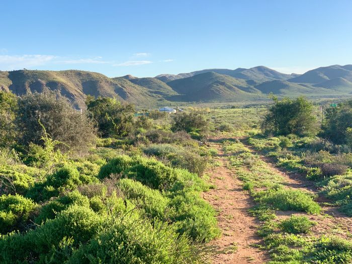 Farm for Sale in Van Wyksdorp: Fenced, spacious land with water access.