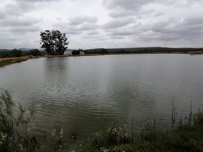 Prime Calitzdorp Rural Farm for Sale: 885ha with Water, Eco-Reserve & Hospitality!