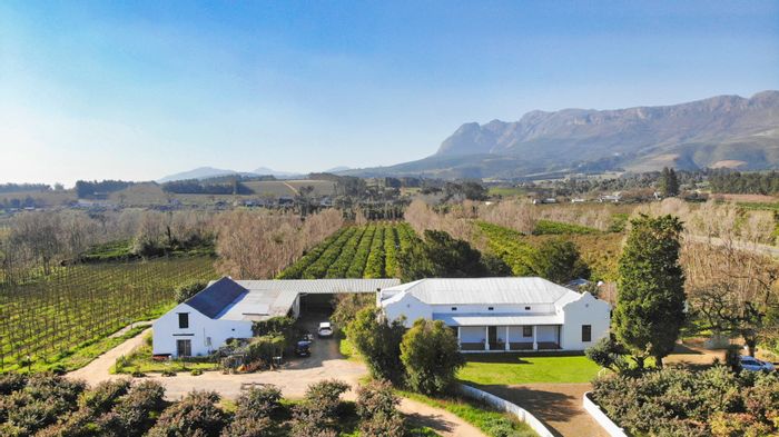 For Sale: Productive 11.6ha Fruit Farm with Grand Manor in Paarl Rural.