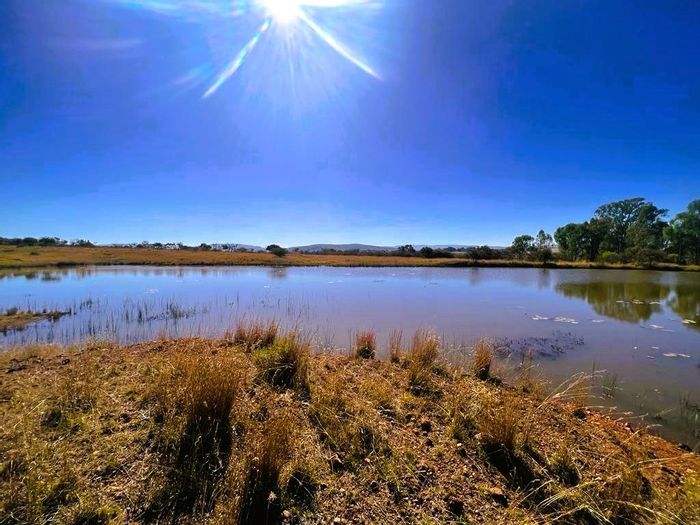 For Sale: 91-hectare game farm in Modimolle Rural with multiple homes and amenities.