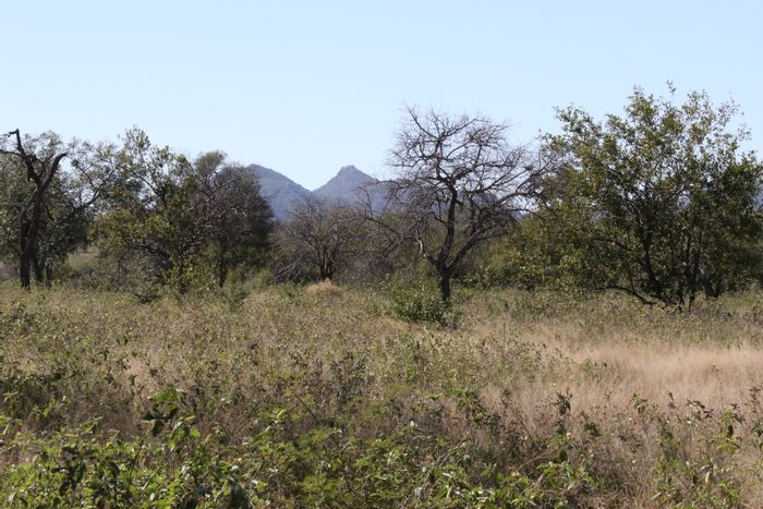 For Sale: Game Breeding Farm in Leopard Rock Nature Reserve with ample water supply.