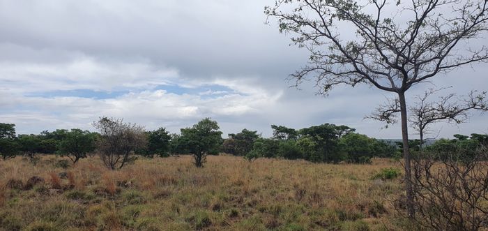 Vacant Residential Land for Sale at Nylsoog Wind And Eco Estate, Game Reserve Access.