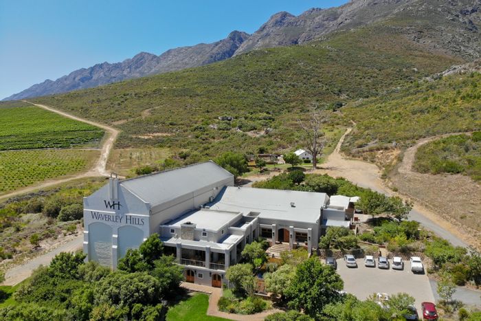 For Sale: Award-Winning Organic Wine and Olive Estate in Tulbagh Rural