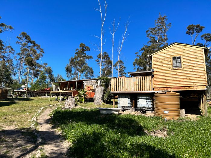 Sedgefield Rural House For Sale: Off-grid living, multiple cottages, and farm amenities.