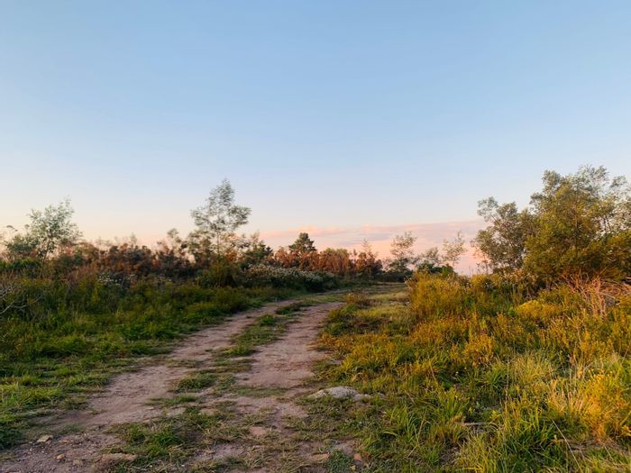 Rocklands Farm For Sale: 39.52 ha with building plans, grazing, and wildflowers.