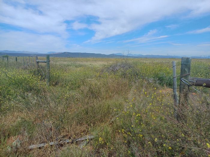 Oudtshoorn Rural Farm For Sale: 6 ha with business potential, water access, fenced.