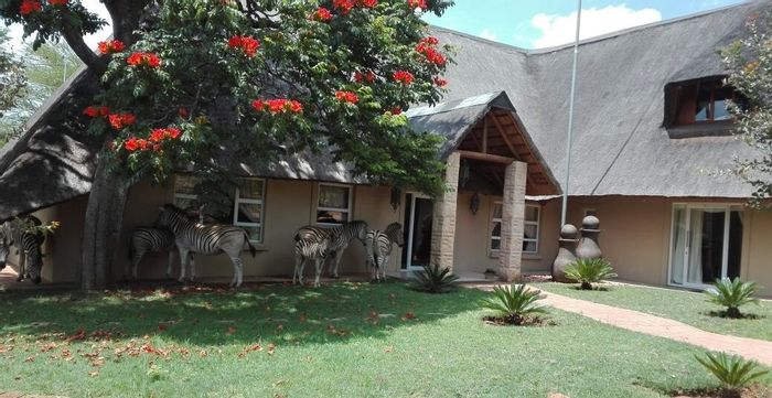 House For Sale in Vaalwater Central: 5 bedrooms, nature reserve access, secure living.