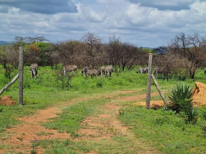 For Sale: 22-Hectare Kameeldrift East Farm with Wildlife, Home, and Investment Potential!