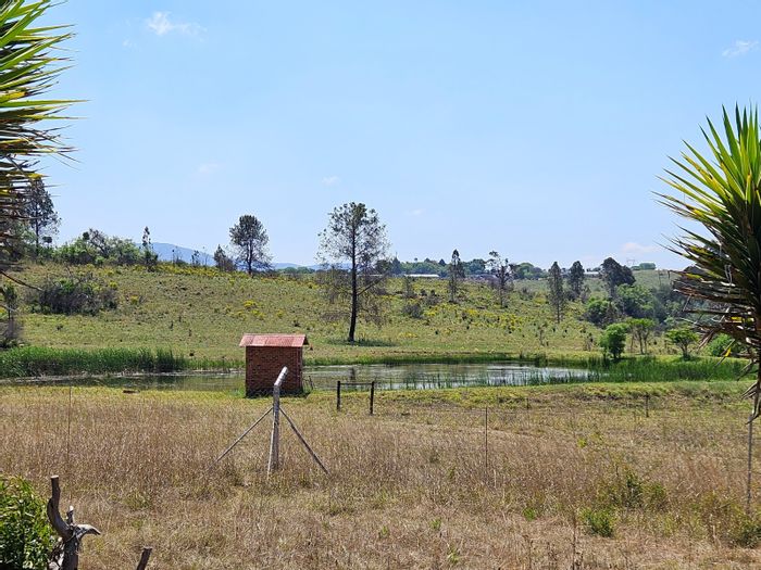 For Sale: Farm in Lydenburg Rural with water rights, homes, and grazing land.