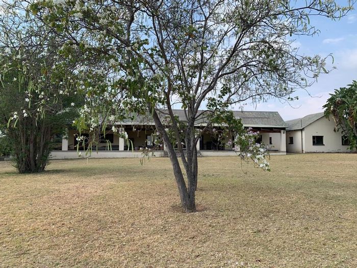 Rooiberg Farm For Sale: Gated, security features, cottages, pool, and expansive gardens.