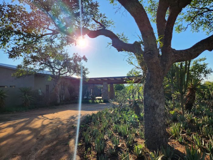 Exclusive 5-Bed Lodge in Leadwood Big Game Estate, Hoedspruit - For Sale!