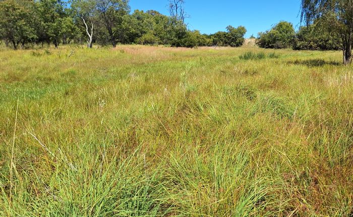 Koster Central Farm For Sale: Solar-powered, livestock included, hunting houses, ample water supply.