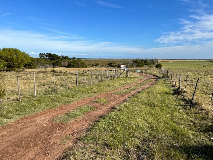 27-Hectare Farm for Sale, Humansdorp Central: Prime Location, Vast Potential