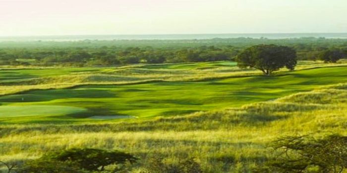 Vacant Land Residential For Sale at Euphoria Golf Estate, 1110 sqm bush stand.