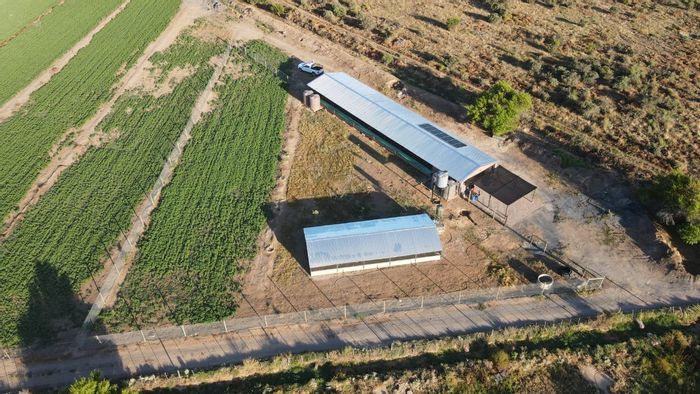 Ladismith Rural Small Holding For Sale: Profitable egg production, Lucerne farming, river access.