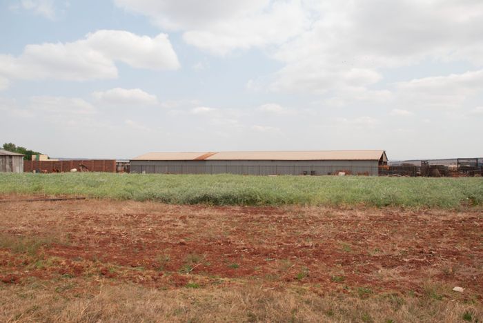 For Sale: 8.5ha Kikuyu Lawn Farm in Tiegerpoort AH with borehole and storage.