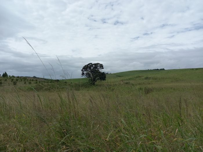 Ballito Rural Small Holding For Sale: 86 ha agricultural land with income potential.