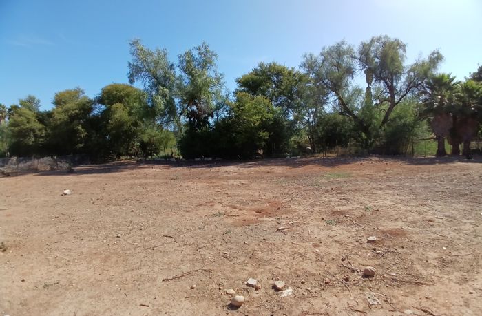 Vacant Land in Oudtshoorn Central: Ideal Location Near Schools and Amenities!