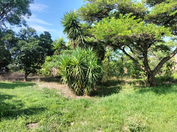 Kromdraai Farm For Sale: 2.2 hectares, ideal for residence and business ventures.