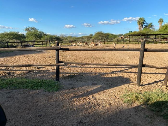 For Sale: 21.4 ha Farm in Polokwane Ext 86 with multiple homes, game fenced.