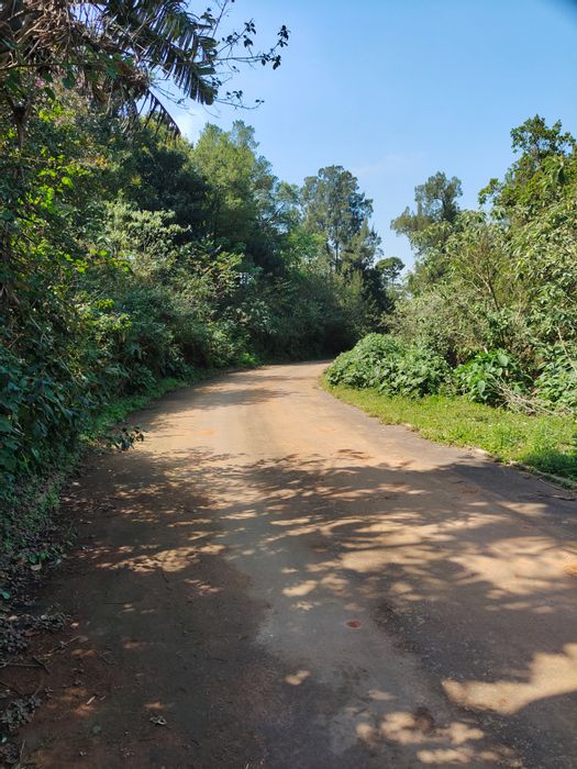 Vacant Land Residential For Sale in Assagay: 2.4 ha with valley views, development potential.