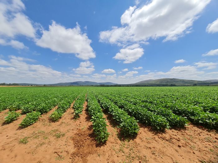 Property #ENT0273797, Farm for sale in Modimolle Rural