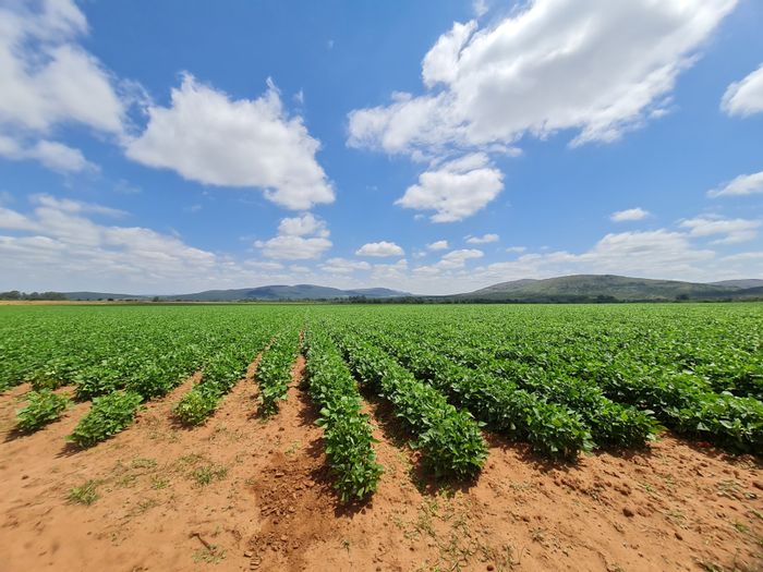 For Sale: Modimolle Rural Farm with solar power, water rights, and cattle facilities.