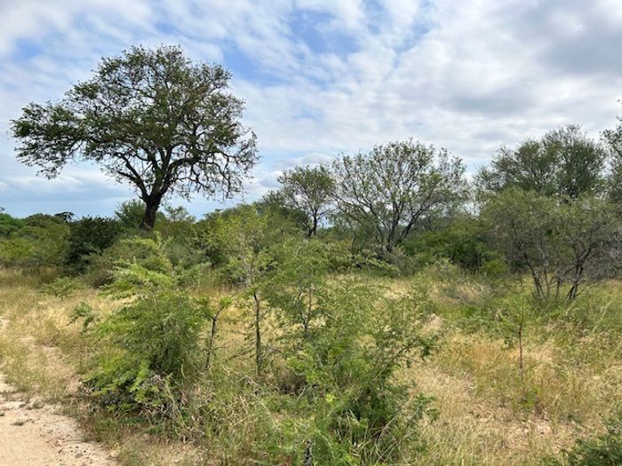 Vacant Land Residential in Hoedspruit Central, For Sale: 0.9245 HA near wildlife.