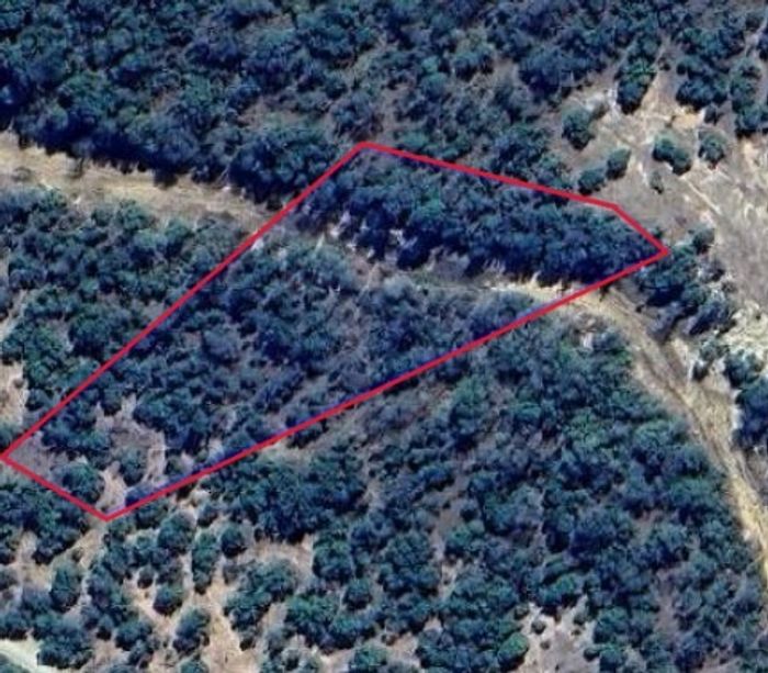 Vacant Land in Hoedspruit Central: Wildlife Estate Living, Game Drives, Scenic Views. For Sale.