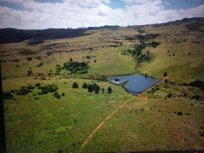 Farming Opportunity for Sale in Dullstroom Rural with Agri-Tourism Potential