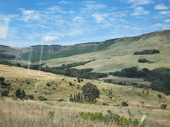 240-Hectare Farm For Sale in Waterval Boven Rural with riverside access and pastures.