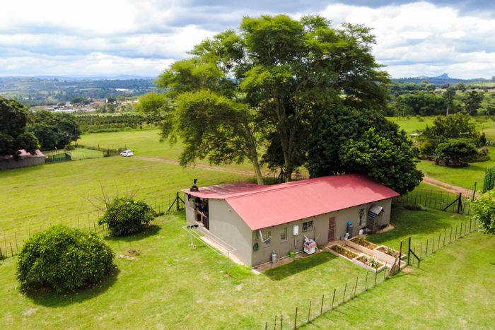 45-Hectare Farm in White River AH: Macadamia Trees, Multiple Dwellings, For Sale!