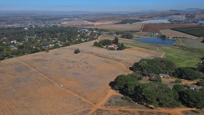 Stellenbosch Farms For Sale: Operational winery, event venue, restaurant, and ample arable land.