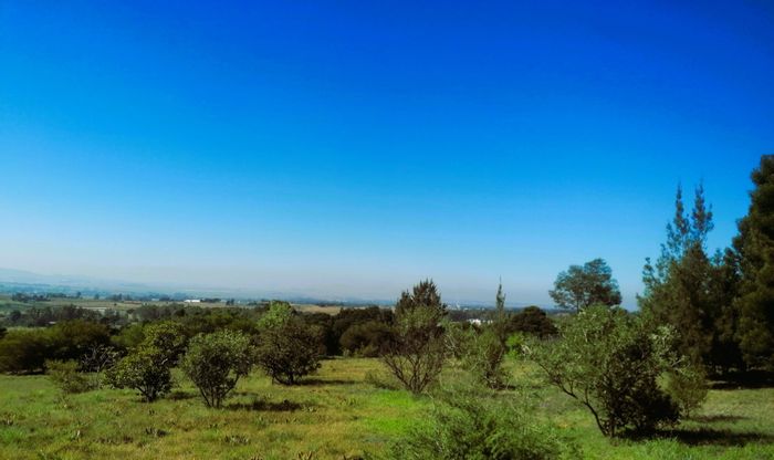 Serene 1 Ha Vacant Land in Blue Saddle Ranches, Midvaal - For Sale