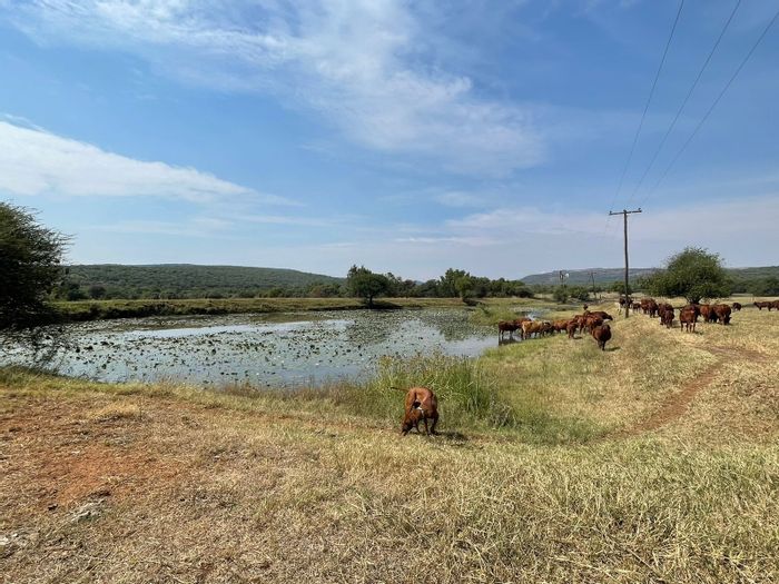 Rustenburg Rural Farm For Sale: Well-Equipped Bonsmara Cattle Stud, Livestock Included