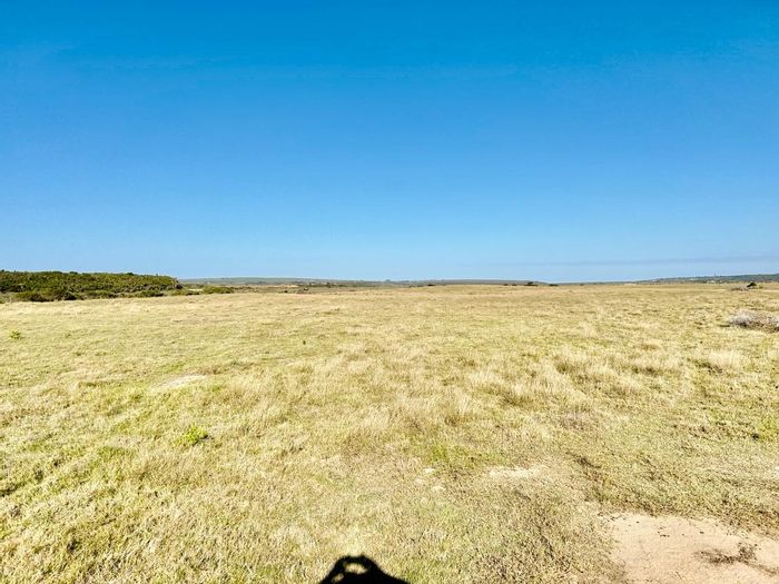 Mossel Bay Rural Farm For Sale: 198 hectares, riverfront, livestock facilities, water security.