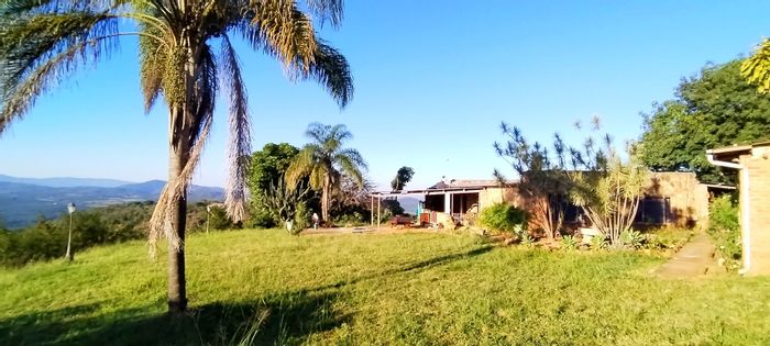 For Sale: Tzaneen Rural Farm with two houses, stables, boreholes, and flatlet.