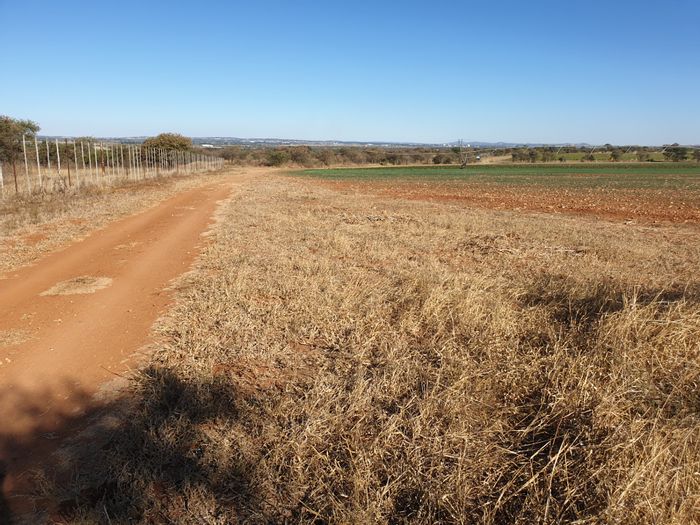 For Sale: 300ha farm in Polokwane Rural with multiple houses, boreholes, and irrigation.