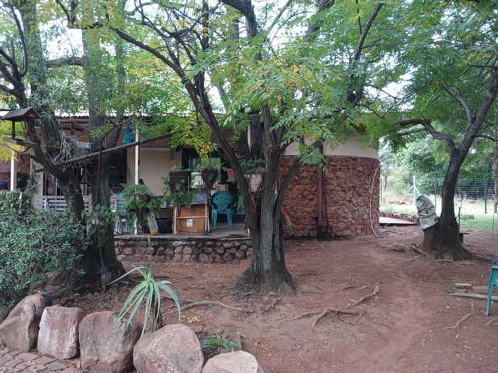 8.5-Hectare Small Holding For Sale in Bultfontein AH with fruit trees and farming potential.